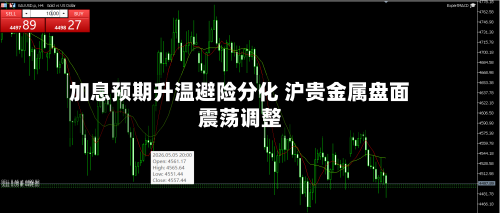 加息预期升温避险分化 沪贵金属盘面震荡调整-第2张图片