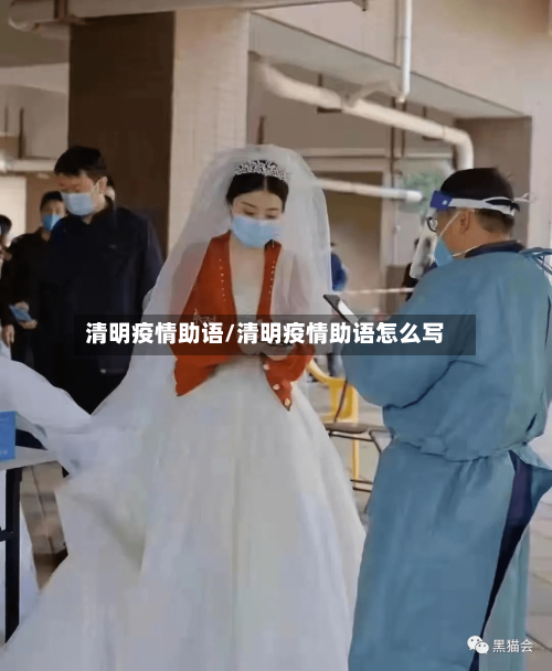 清明疫情助语/清明疫情助语怎么写-第3张图片