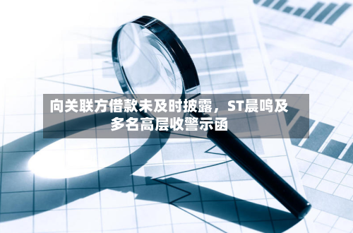 向关联方借款未及时披露，ST晨鸣及多名高层收警示函