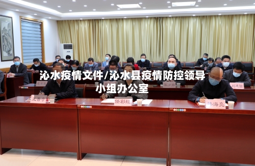沁水疫情文件/沁水县疫情防控领导小组办公室