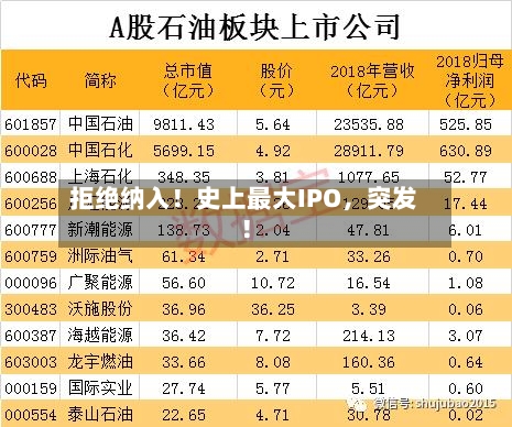 拒绝纳入！史上最大IPO，突发！-第2张图片