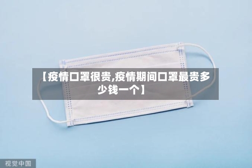 【疫情口罩很贵,疫情期间口罩最贵多少钱一个】