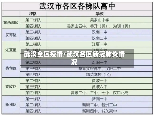 武汉全区疫情/武汉各区新冠肺炎情况