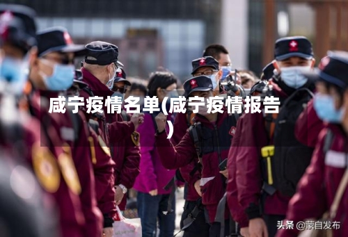 咸宁疫情名单(咸宁疫情报告)-第3张图片