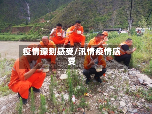 疫情深刻感受/汛情疫情感受-第2张图片