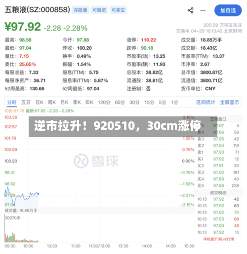 逆市拉升！920510	，30cm涨停-第2张图片