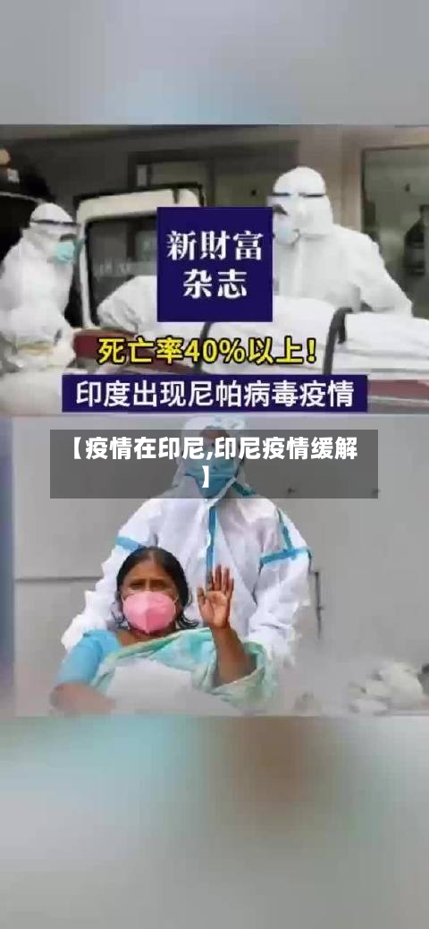 【疫情在印尼,印尼疫情缓解】-第3张图片