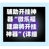 辅助开挂神器“微乐福建麻将开挂神器	”(详细透视教程)-第2张图片