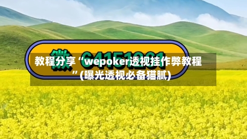 教程分享“wepoker透视挂作弊教程”(曝光透视必备猫腻)-第2张图片