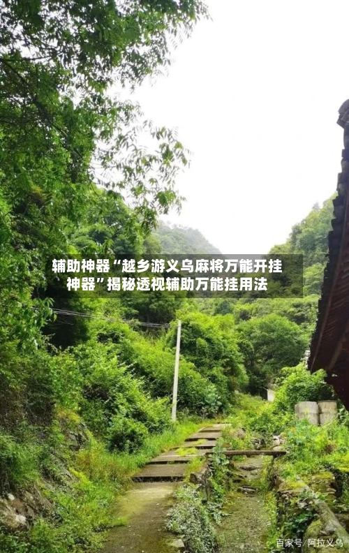 辅助神器“越乡游义乌麻将万能开挂神器”揭秘透视辅助万能挂用法-第2张图片