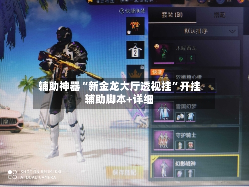 辅助神器“新金龙大厅透视挂”开挂辅助脚本+详细-第2张图片