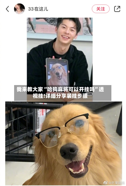 我来教大家“哈狗麻将可以开挂吗”透视挂!详细分享装挂步骤-第3张图片