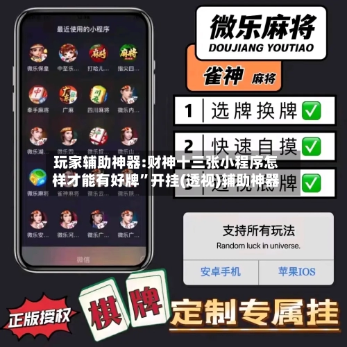 玩家辅助神器:财神十三张小程序怎样才能有好牌	”开挂(透视)辅助神器-第3张图片