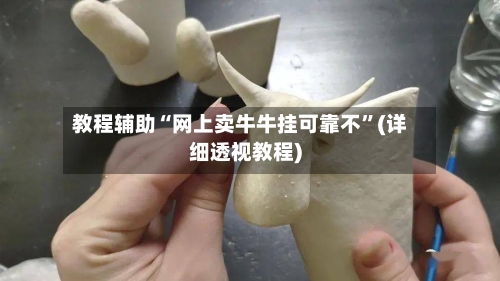 教程辅助“网上卖牛牛挂可靠不”(详细透视教程)