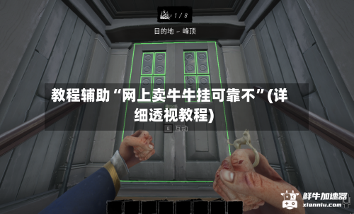 教程辅助“网上卖牛牛挂可靠不”(详细透视教程)-第2张图片