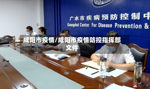 咸阳市疫情/咸阳市疫情防控指挥部文件-第3张图片