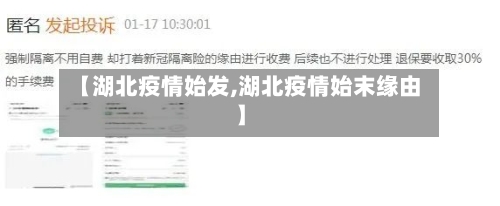 【湖北疫情始发,湖北疫情始末缘由】-第2张图片