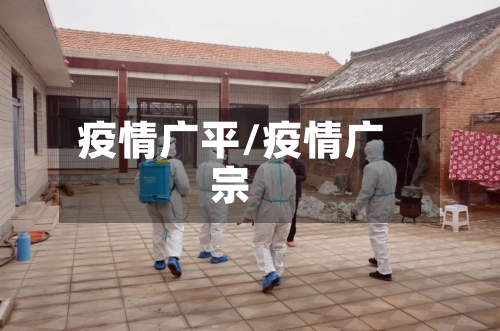 疫情广平/疫情广宗
