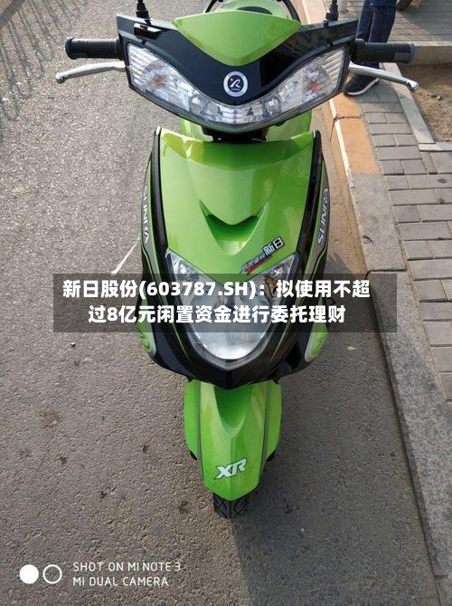 新日股份(603787.SH)：拟使用不超过8亿元闲置资金进行委托理财-第2张图片