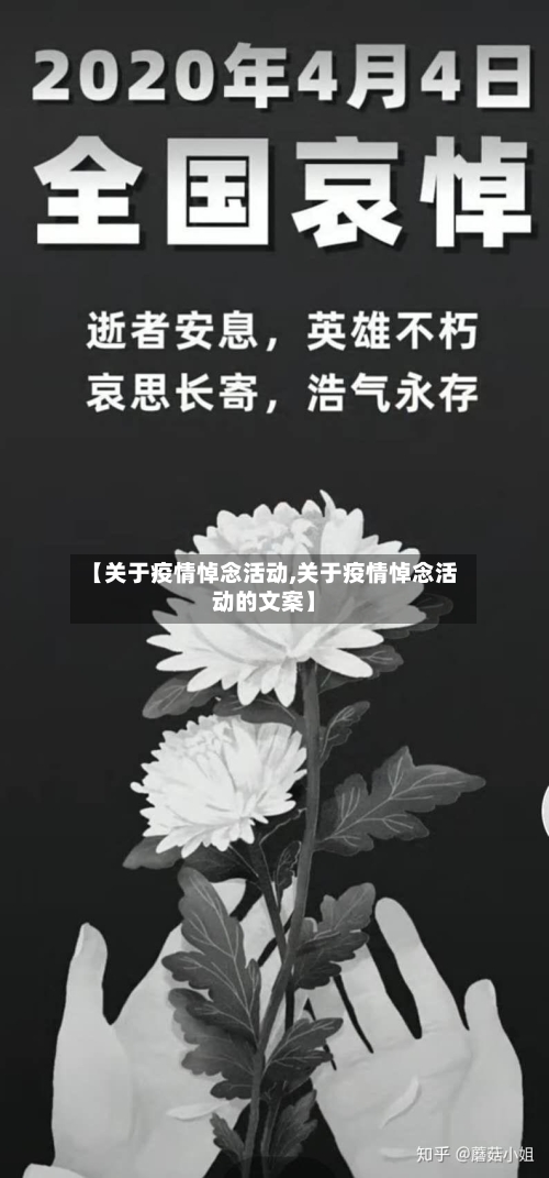 【关于疫情悼念活动,关于疫情悼念活动的文案】-第2张图片