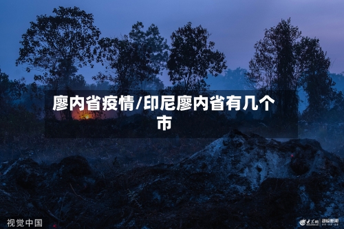 廖内省疫情/印尼廖内省有几个市-第2张图片