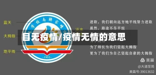 目无疫情/疫情无情的意思-第3张图片