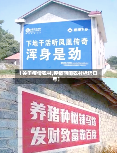 【关于疫情农村,疫情期间农村标语口号】
