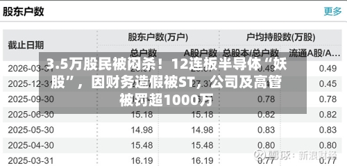 3.5万股民被闷杀！12连板半导体“妖股”，因财务造假被ST，公司及高管被罚超1000万