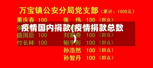 疫情国内捐款(疫情捐款总数)