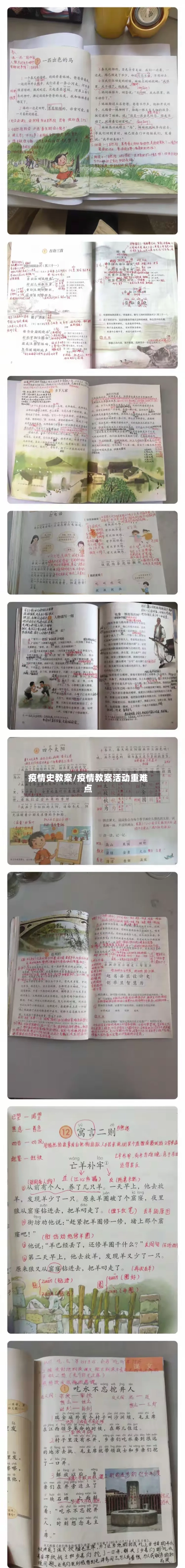 疫情史教案/疫情教案活动重难点