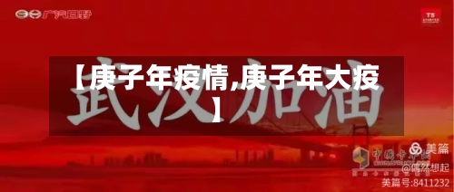 【庚子年疫情,庚子年大疫】-第2张图片