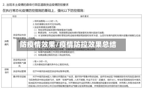 防疫情效果/疫情防控效果总结