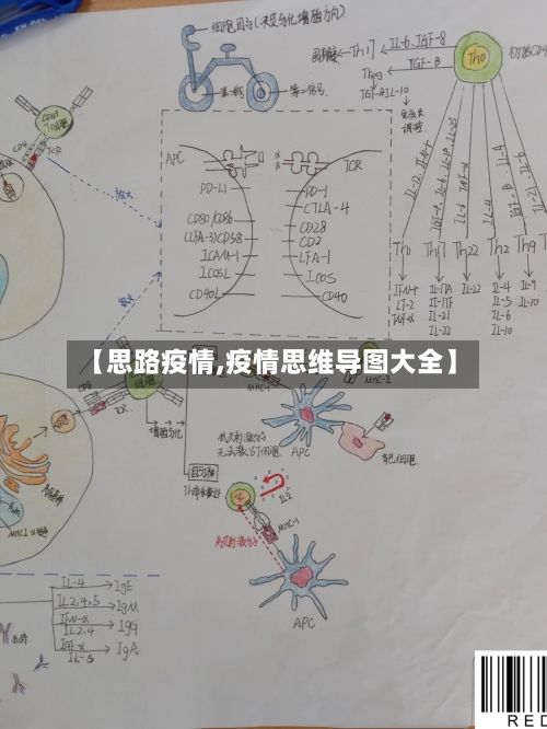 【思路疫情,疫情思维导图大全】-第2张图片