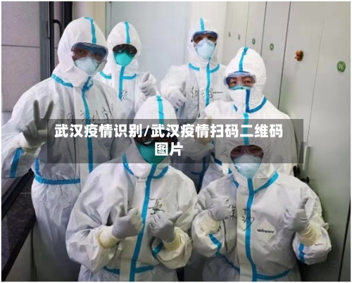 武汉疫情识别/武汉疫情扫码二维码图片-第3张图片