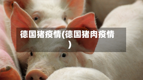 德国猪疫情(德国猪肉疫情)-第2张图片