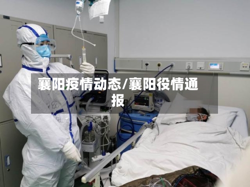 襄阳疫情动态/襄阳役情通报
