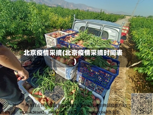 北京疫情采摘(北京疫情采摘时间表)