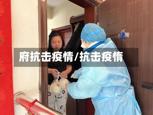 府抗击疫情/抗击疫惰