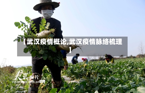 【武汉疫情概论,武汉疫情脉络梳理】