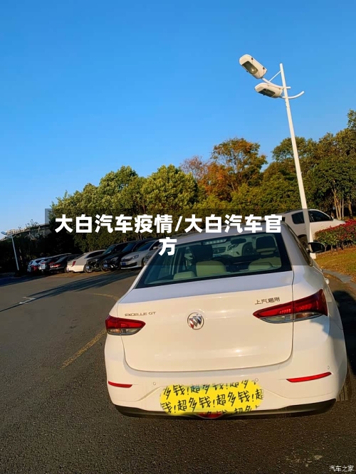 大白汽车疫情/大白汽车官方