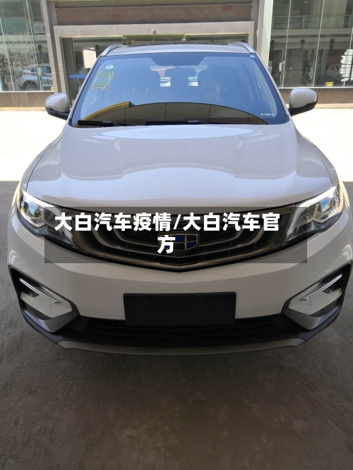 大白汽车疫情/大白汽车官方-第2张图片