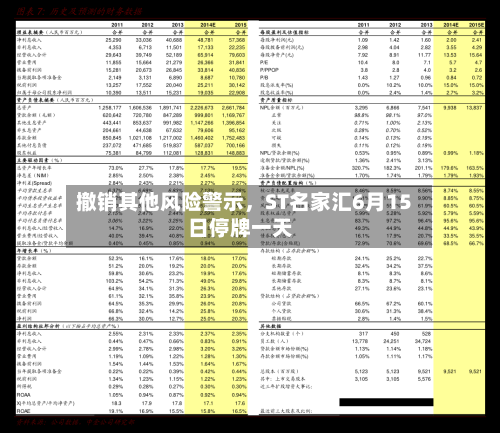 撤销其他风险警示，ST名家汇6月15日停牌一天-第2张图片