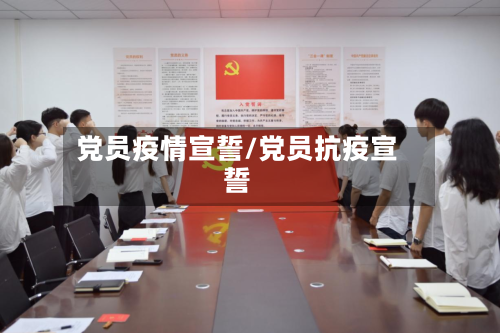 党员疫情宣誓/党员抗疫宣誓-第2张图片