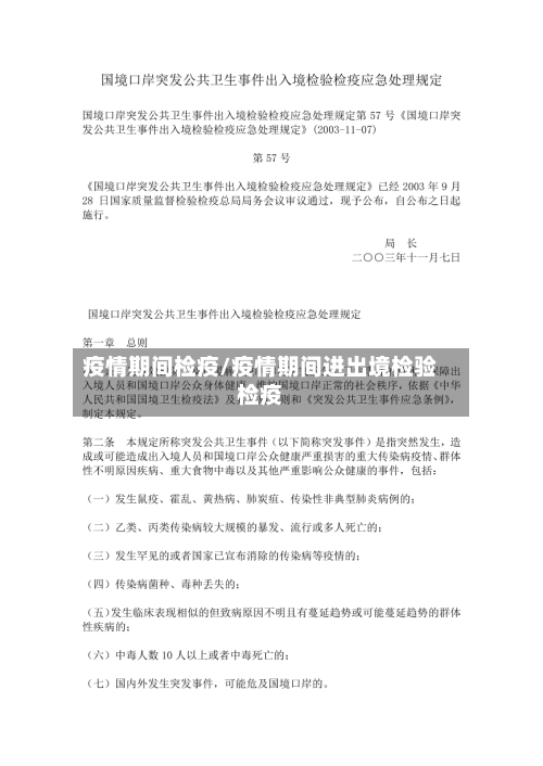 疫情期间检疫/疫情期间进出境检验检疫