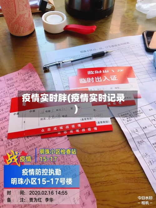疫情实时胖(疫情实时记录)-第3张图片