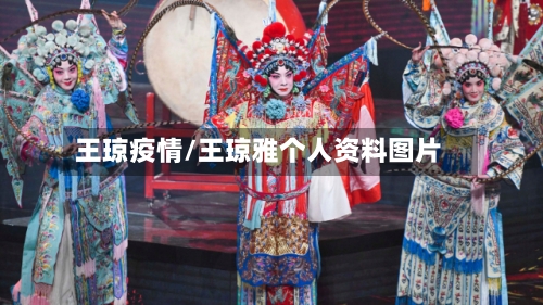 王琼疫情/王琼雅个人资料图片-第2张图片