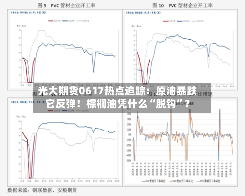 光大期货0617热点追踪：原油暴跌它反弹！棕榈油凭什么“脱钩”？-第2张图片