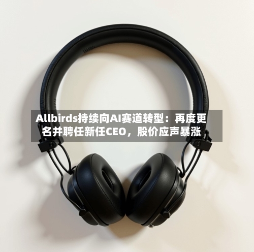 Allbirds持续向AI赛道转型：再度更名并聘任新任CEO，股价应声暴涨