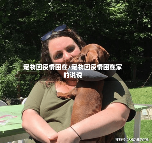 宠物因疫情困在/宠物因疫情困在家的说说