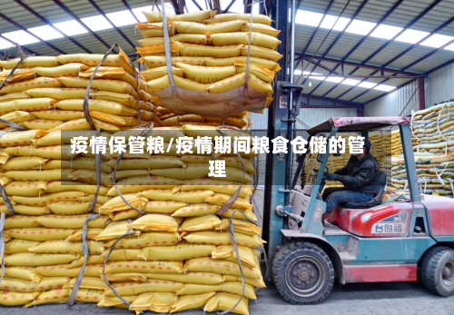疫情保管粮/疫情期间粮食仓储的管理-第3张图片